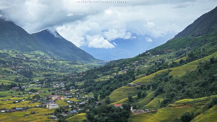 Trek the Rice Terraces in Sapa