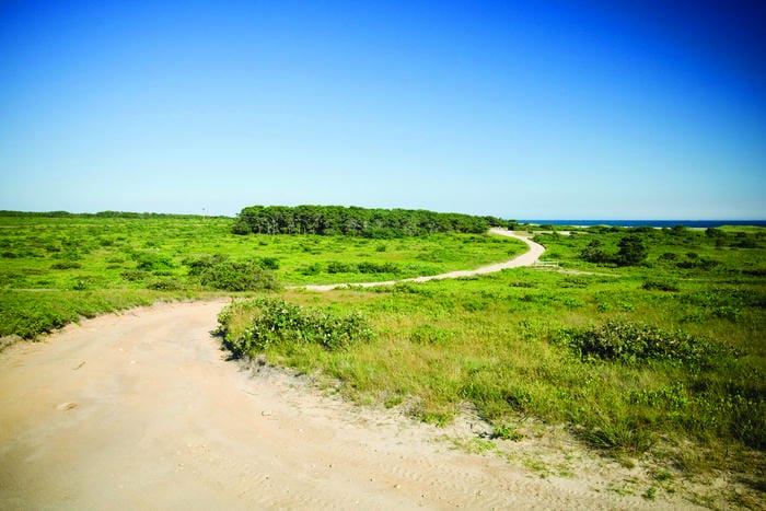 Trekking Martha's Vineyard Trails