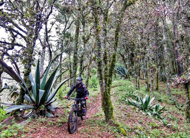 Trekking in Sierra Norte