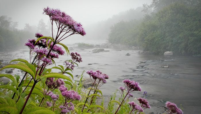 Visit the Canaan Valley National Wildlife Refuge