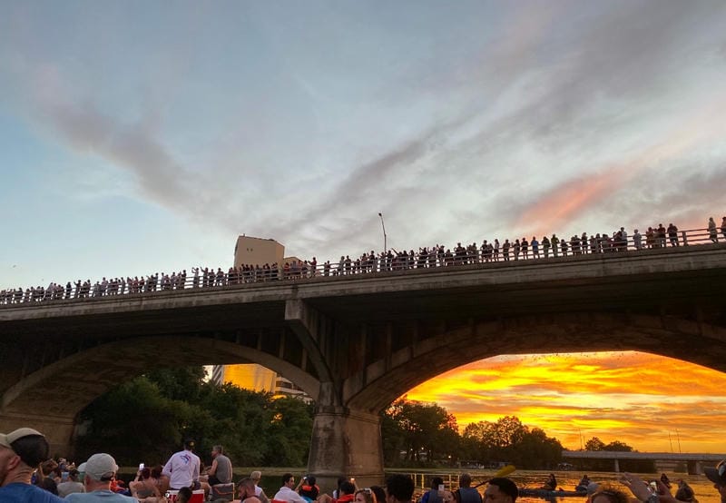 Watch Bats at Congress Avenue Bridge