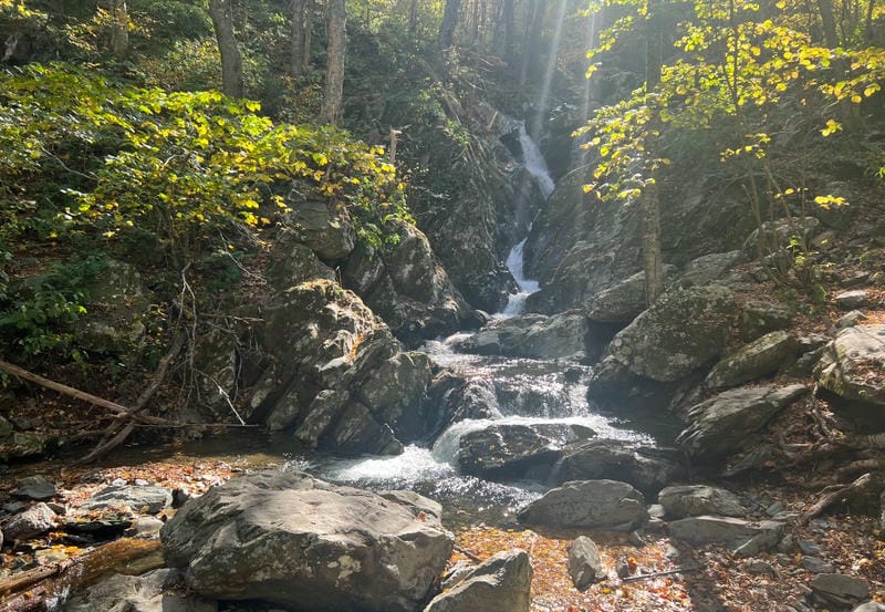 Whiteoak Canyon Falls Trail