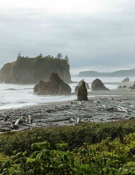 Day 3: Maintaining the Coastal Adventure