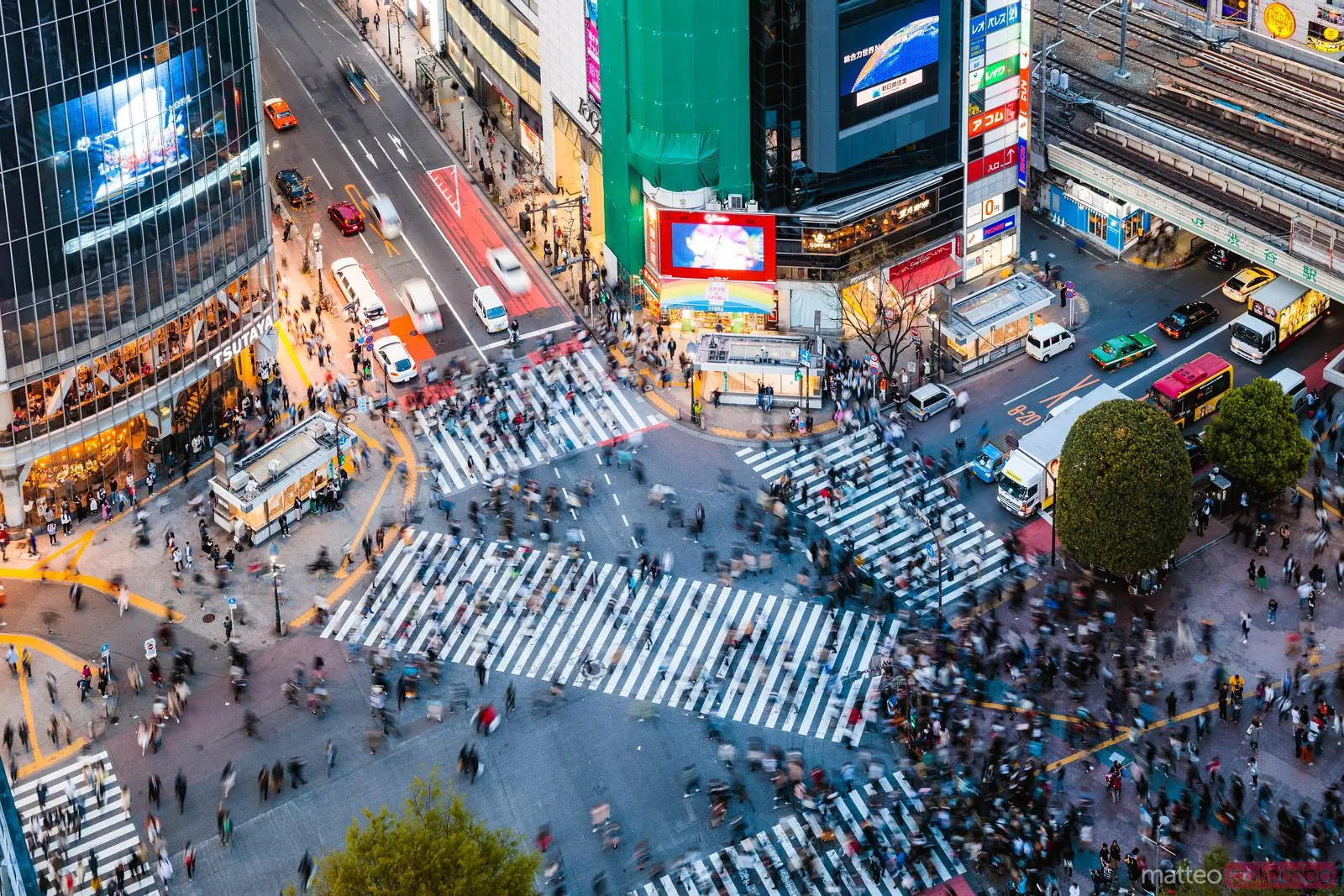 1. Visit the Iconic Shibuya Crossing