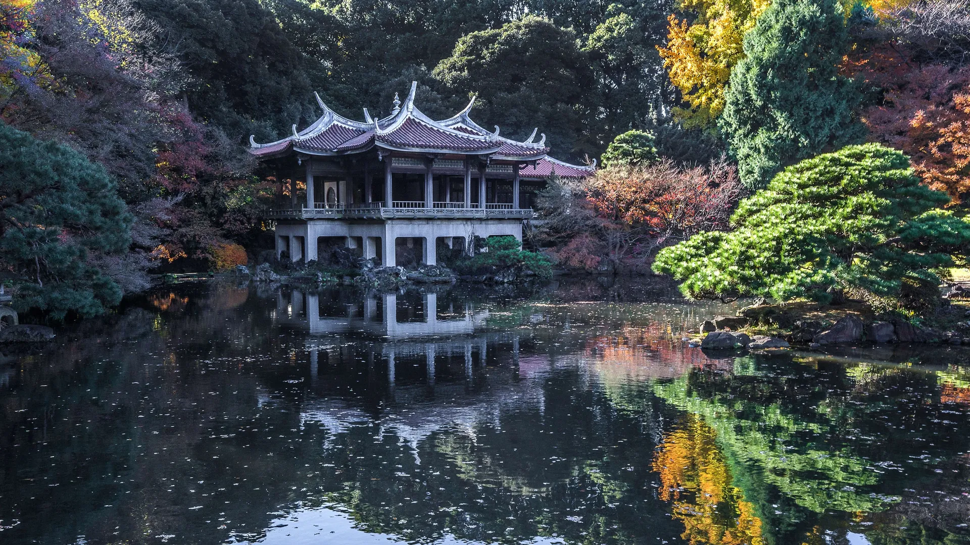 11. Shinjuku Gyoen National Garden