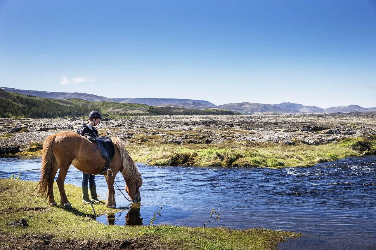 12. Enjoy Horseback Riding Across Lava Fields