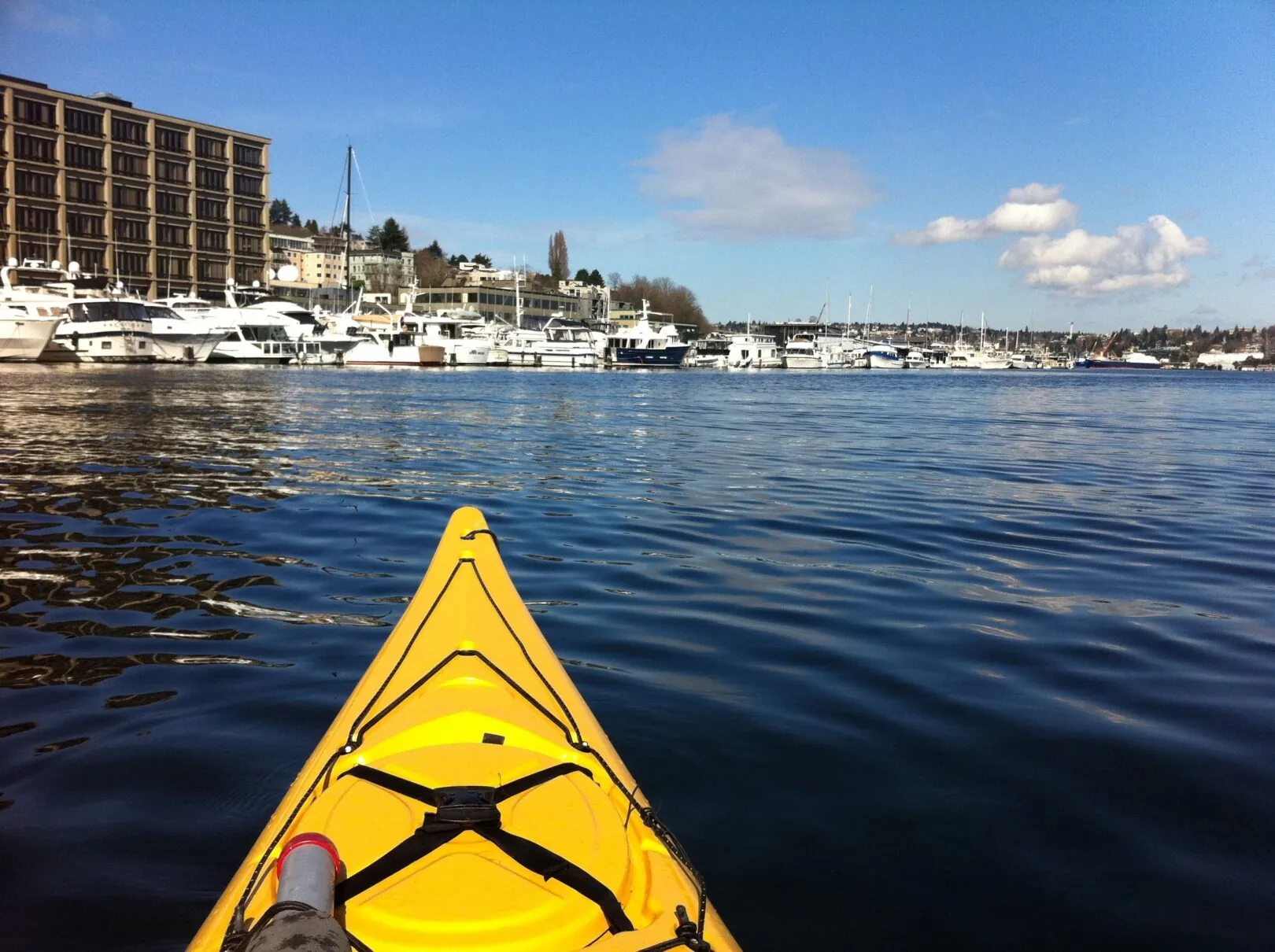 12. Kayak on Lake Union