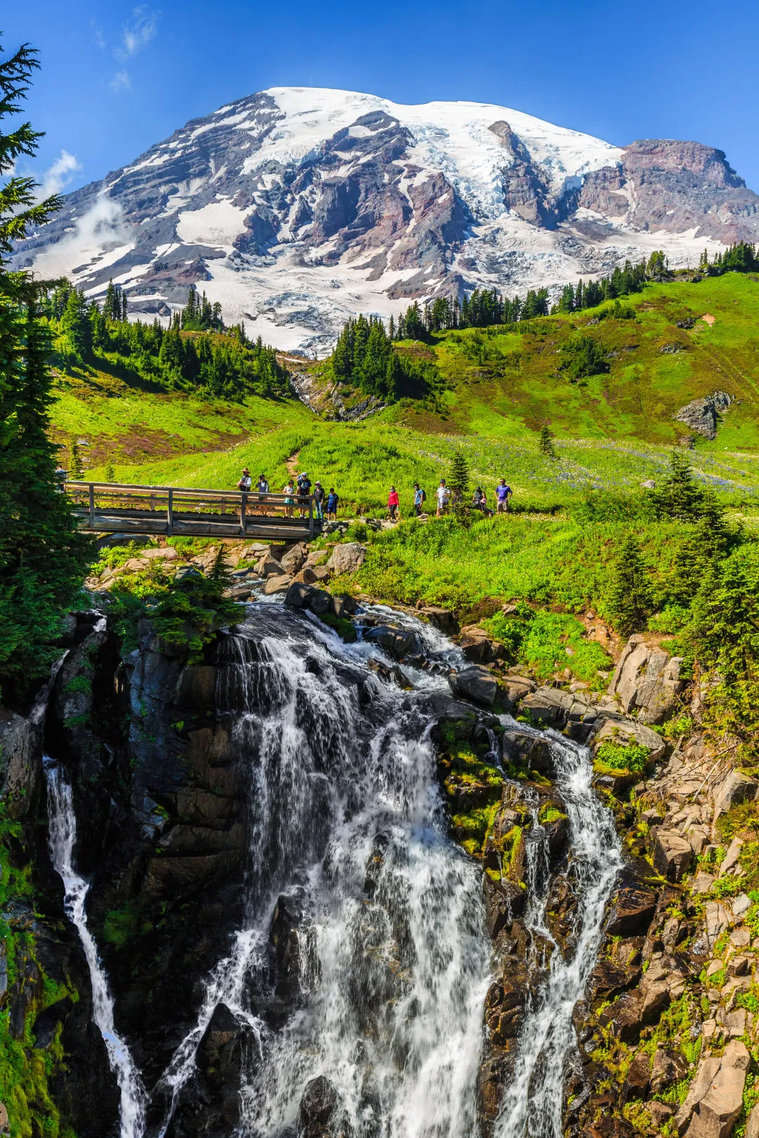 13. Hike Mount Rainier National Park