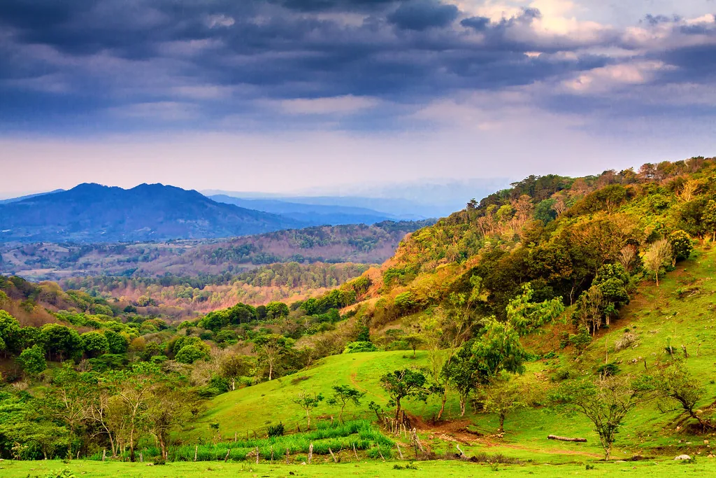 14. Explore El Tisey Natural Reserve