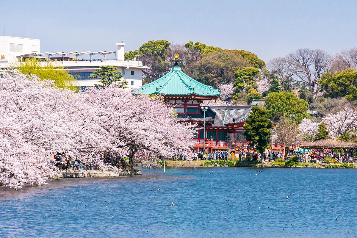 15. Explore Ueno Park & Ueno Zoo