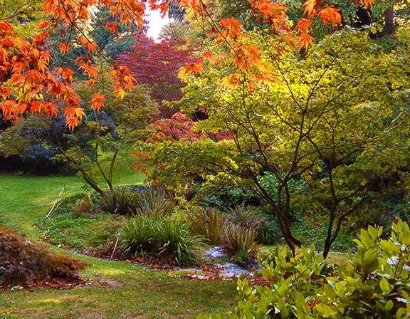 16. Take a Stroll at Washington Park Arboretum