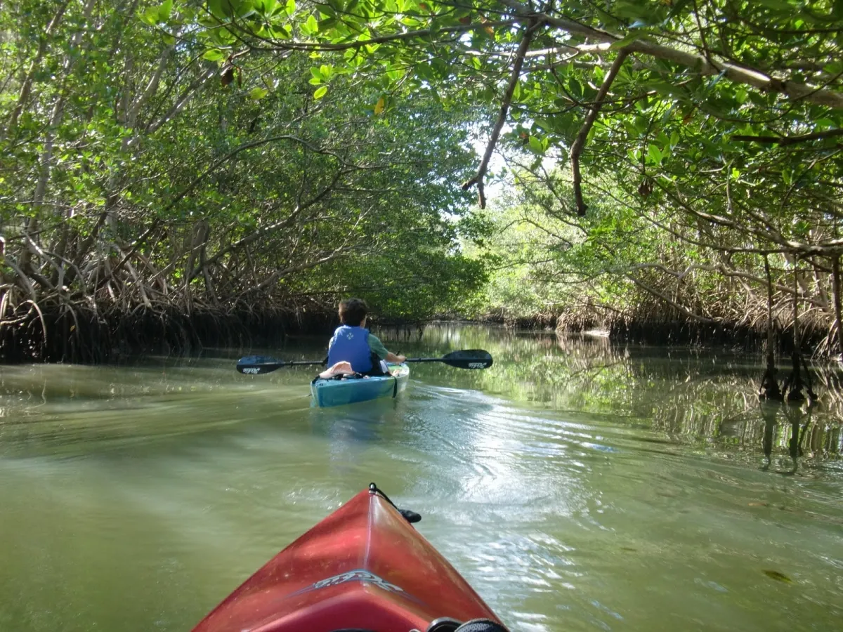 17. Explore Oleta River State Park by Kayak or Canoe