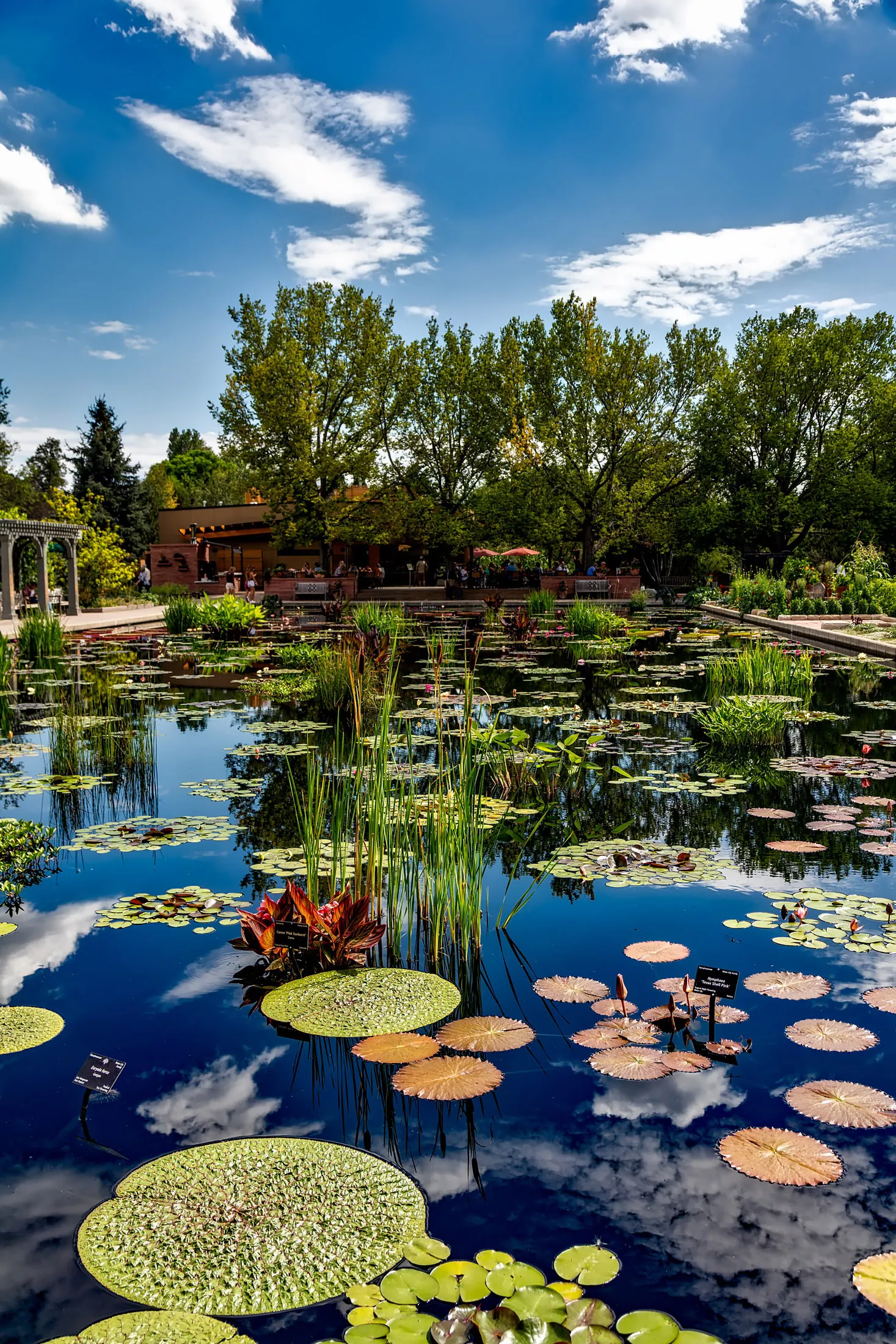 2. Explore the Denver Botanic Gardens