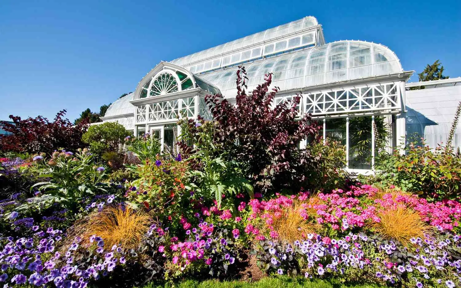 20. Explore Volunteer Park Conservatory