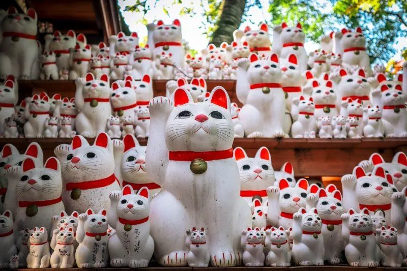 21. Discover Gotokuji Temple – The Lucky Cat Temple