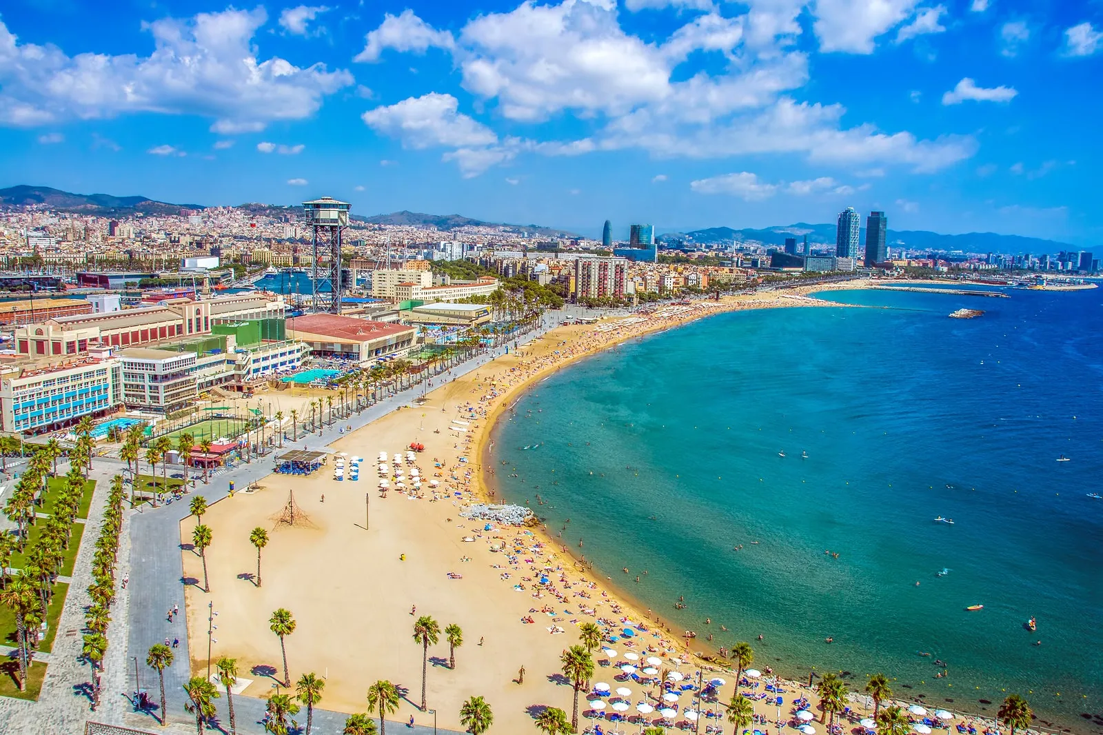 24. Barceloneta Beach & Promenade Walks