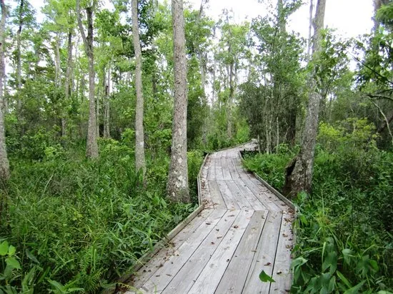 26. Visit Jean Lafitte National Historical Park & Preserve