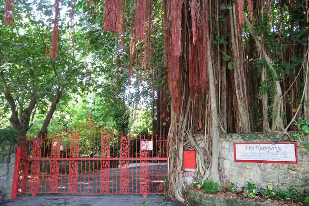 27. Walk Through The Kampong Botanical Garden in Coconut Grove