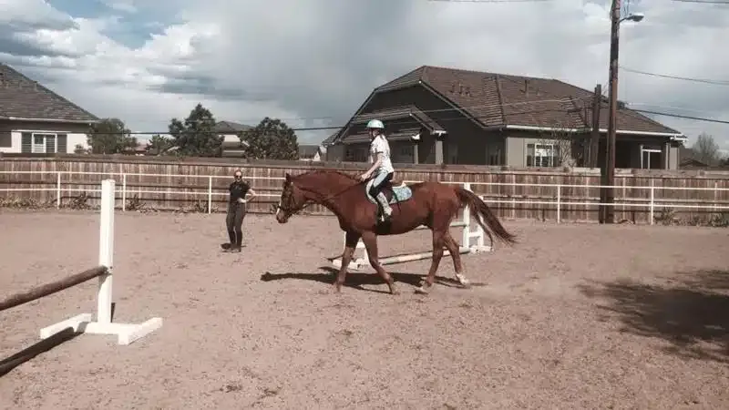 29. Go Horseback Riding Near Chatfield State Park