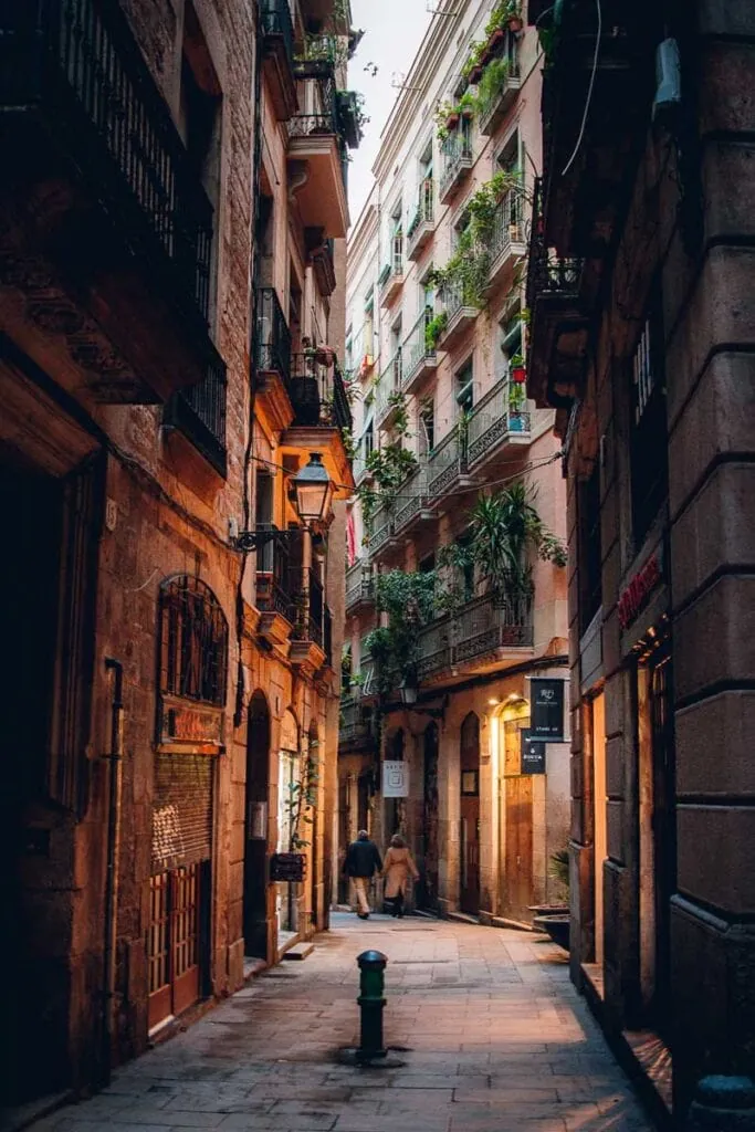 3. Wander Through the Gothic Quarter (Barri Gòtic)