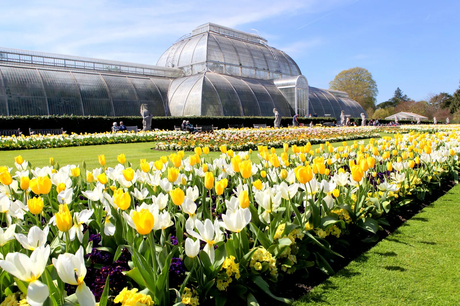 32. Visit Kew Gardens for Botanical Wonders