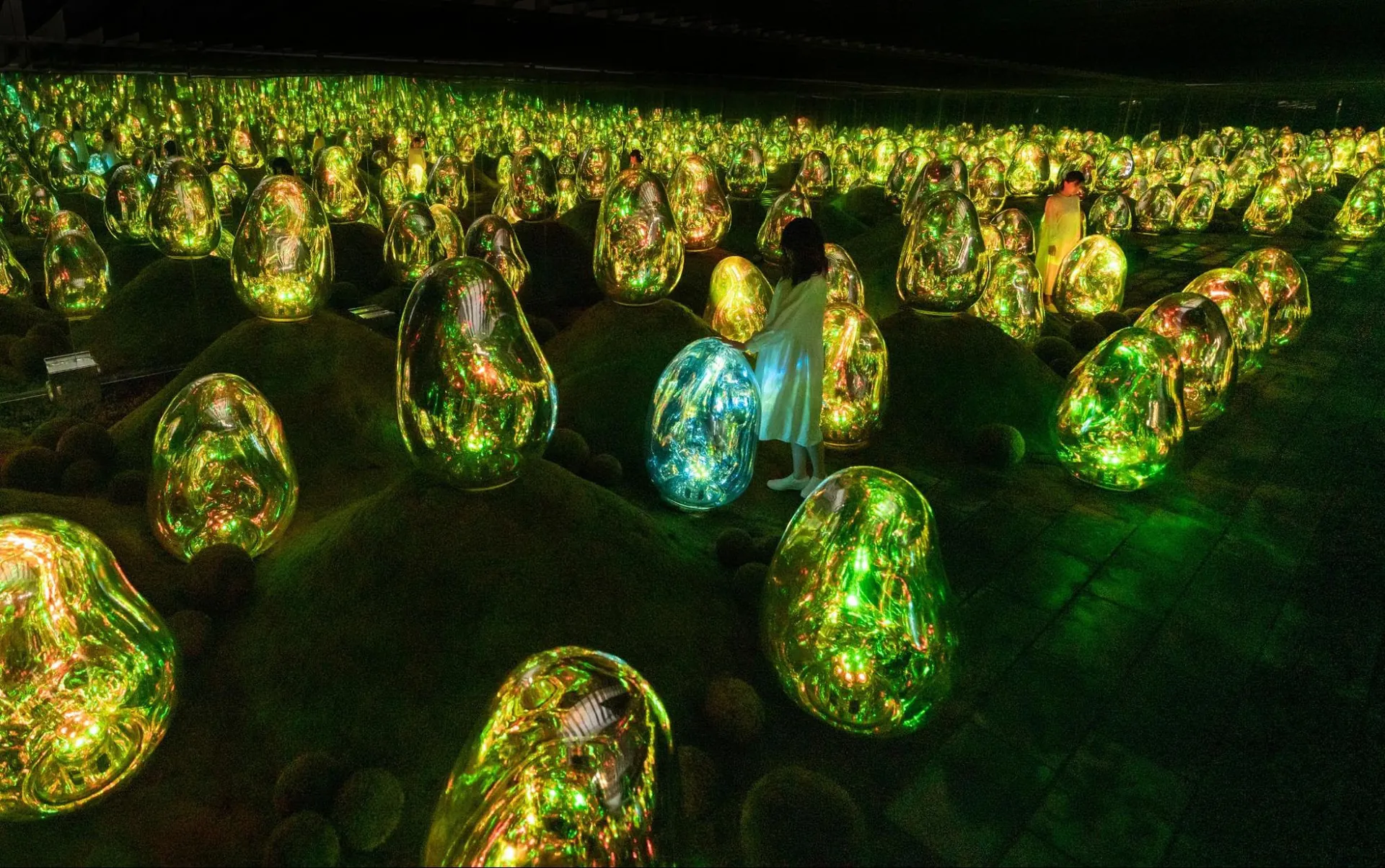 5. Experience TeamLab Planets