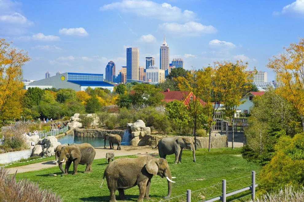 5. Visit the Denver Zoo