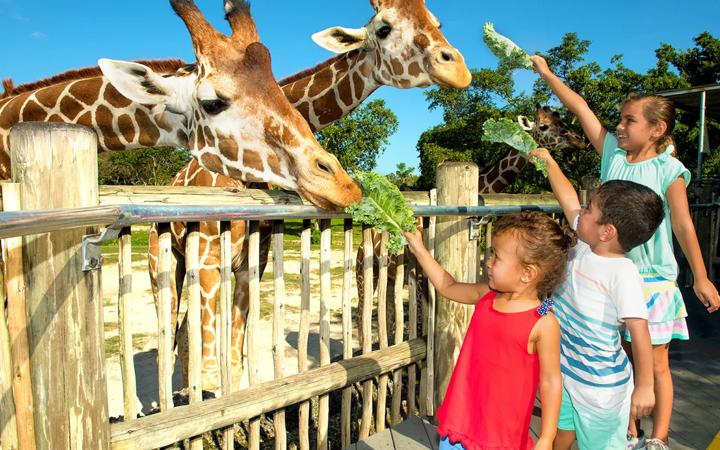 6. Visit Zoo Miami