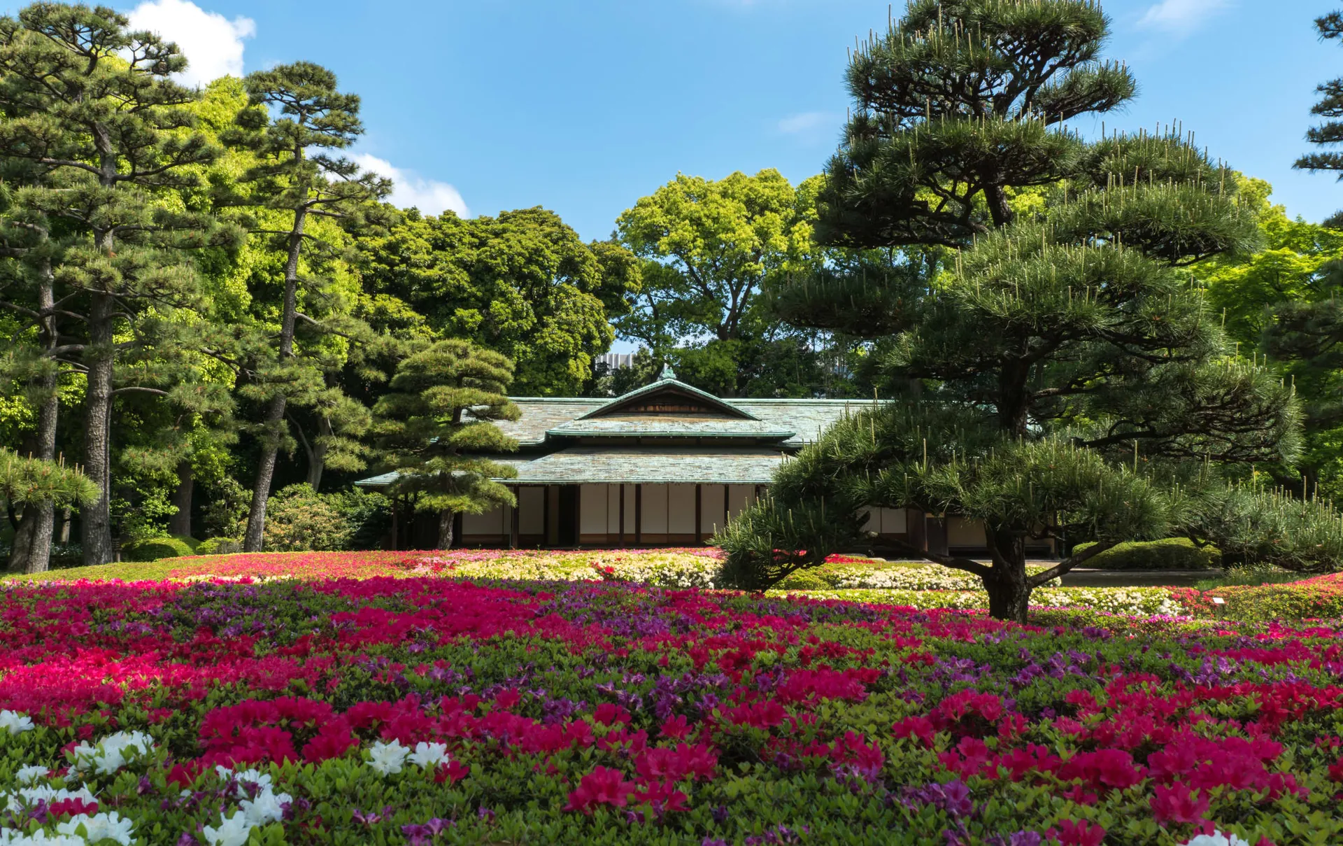 7. Imperial Palace Grounds and East Gardens