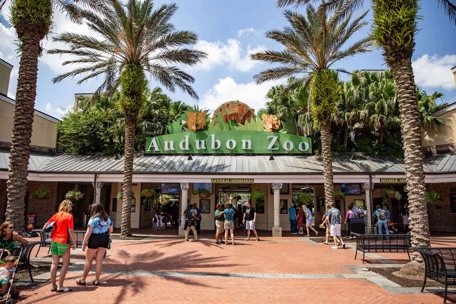 7. Visit Audubon Zoo