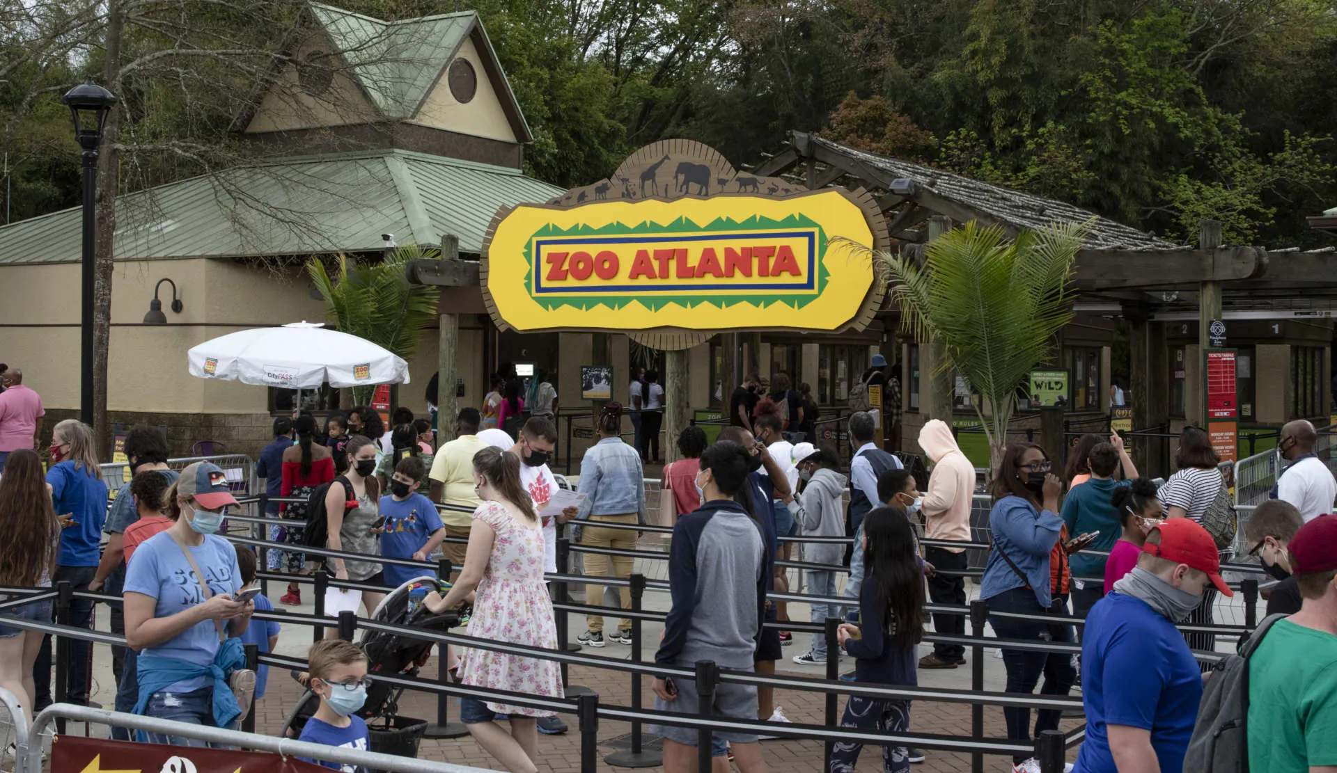 8. Experience Zoo Atlanta