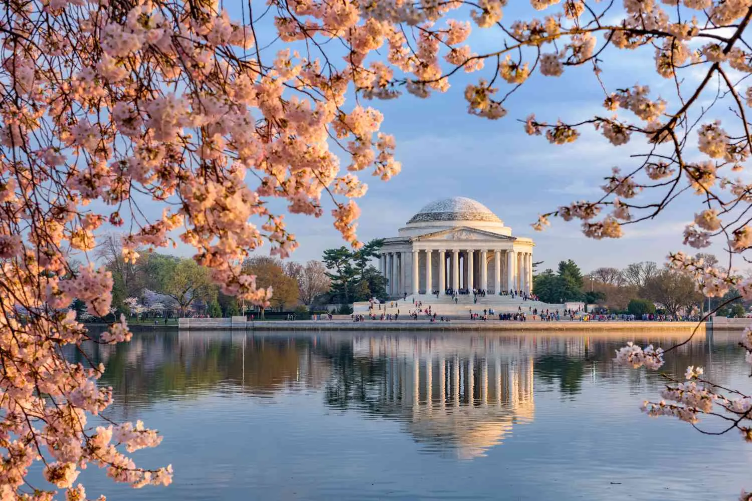 8. Tidal Basin and Cherry Blossoms