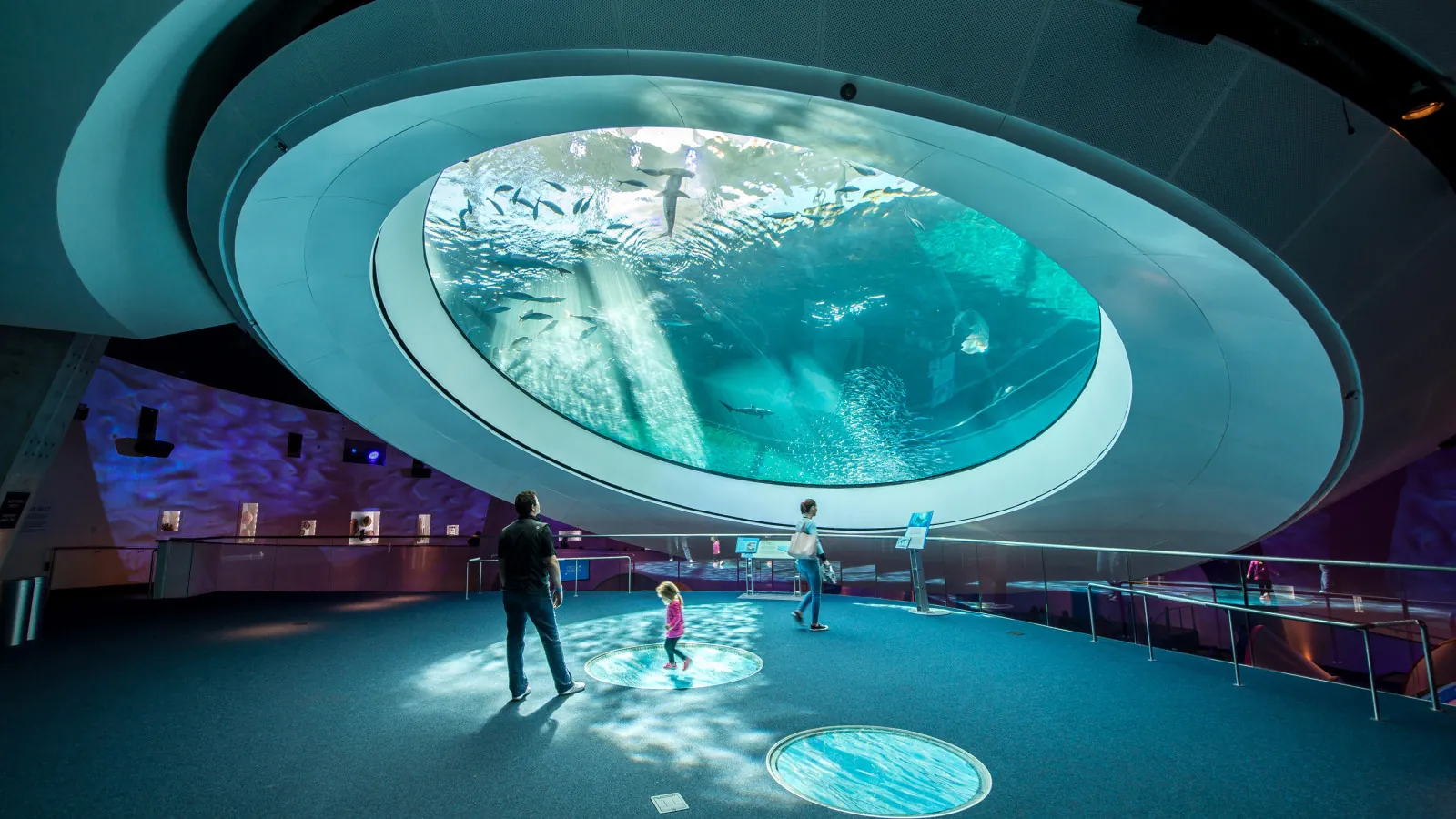 9. Explore the Phillip and Patricia Frost Museum of Science