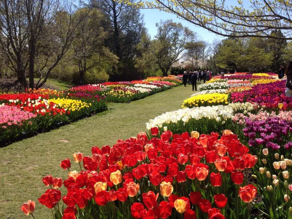 Admire Wisconsin’s Botanical Gardens