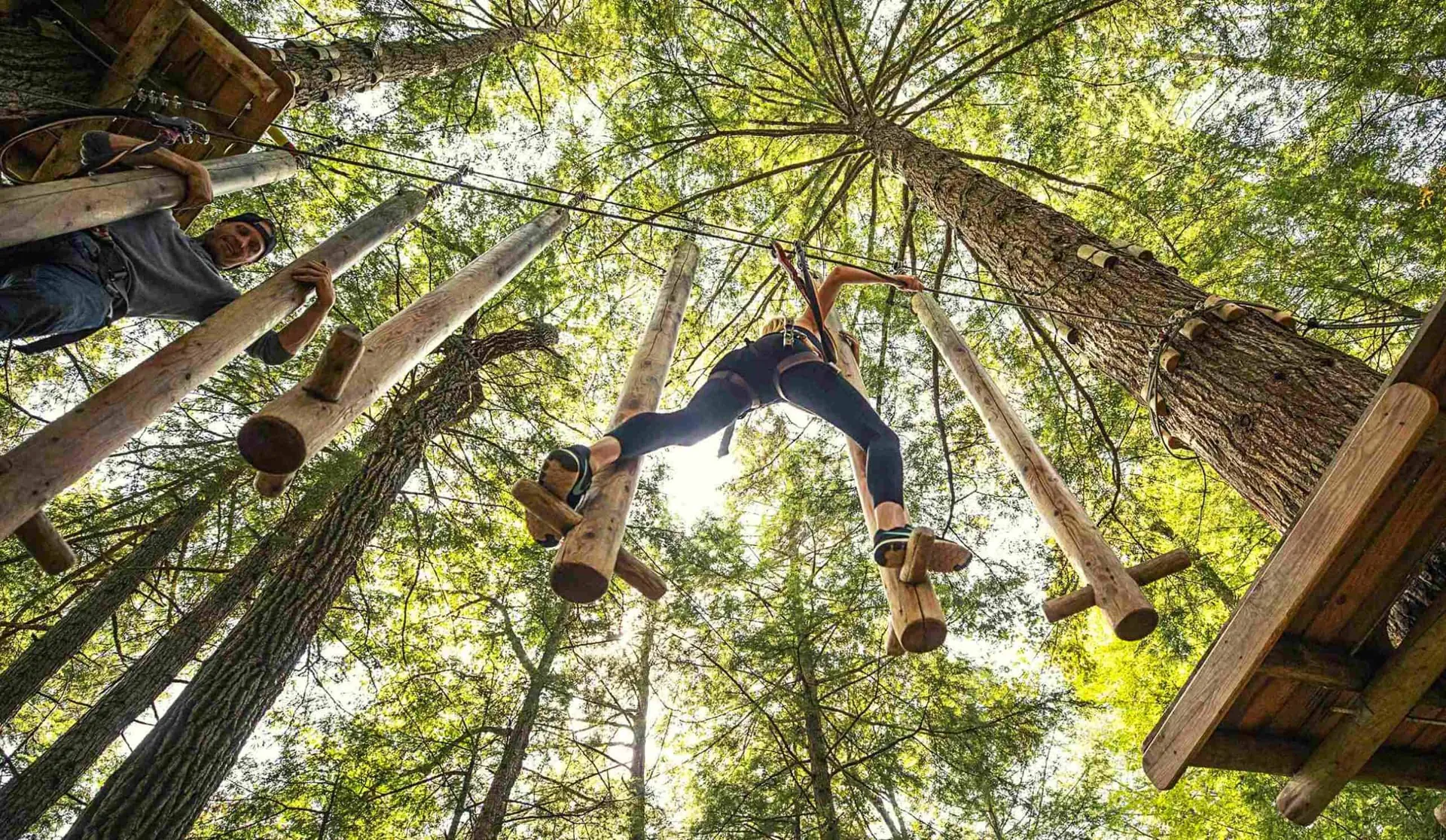 Adventure in the Treetops