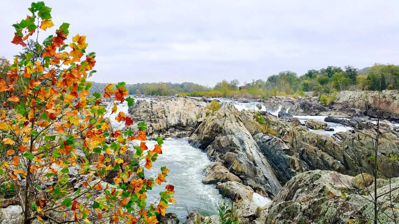 Arriving at Great Falls Park