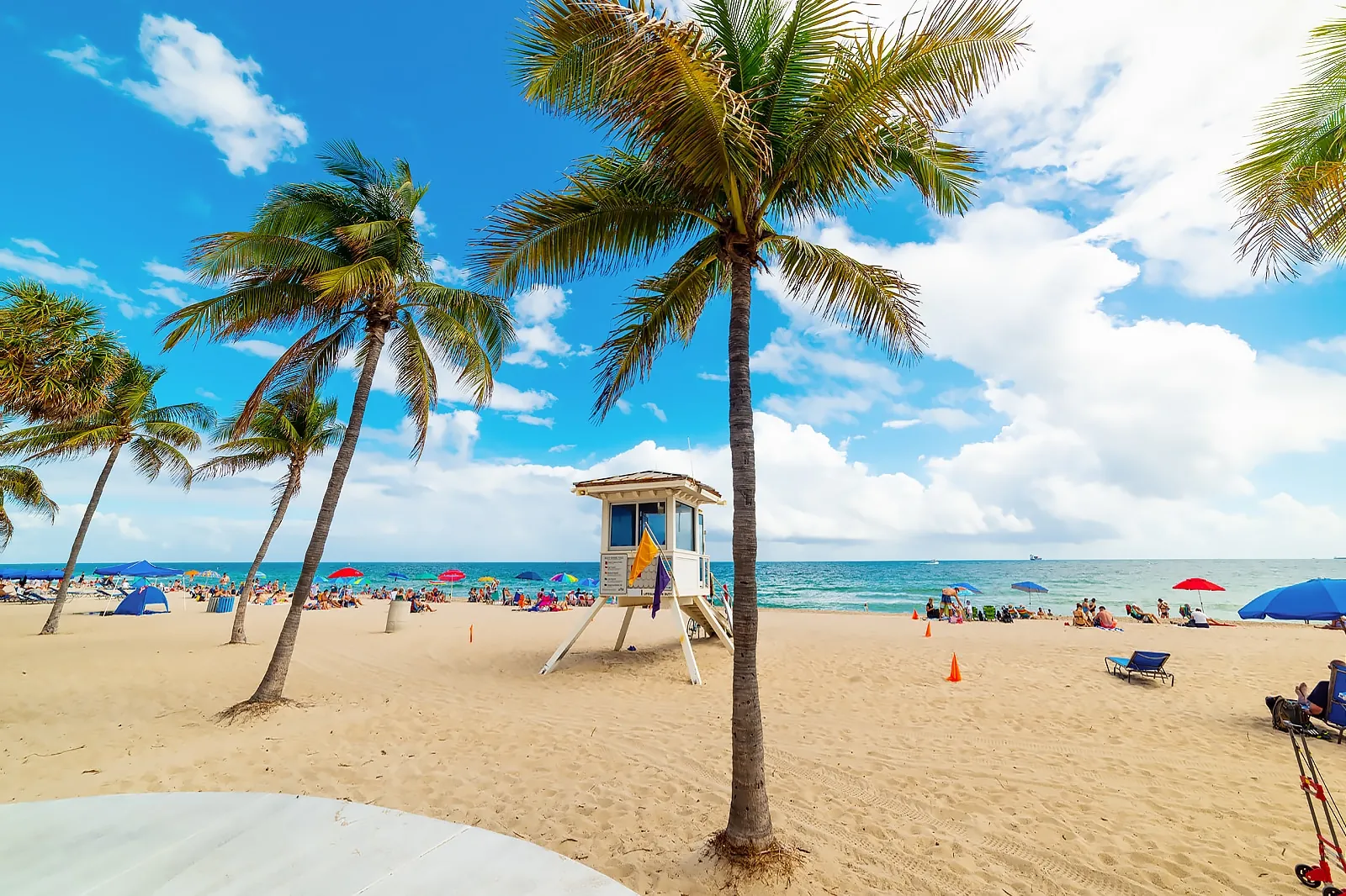 Bask on Fort Lauderdale Beach