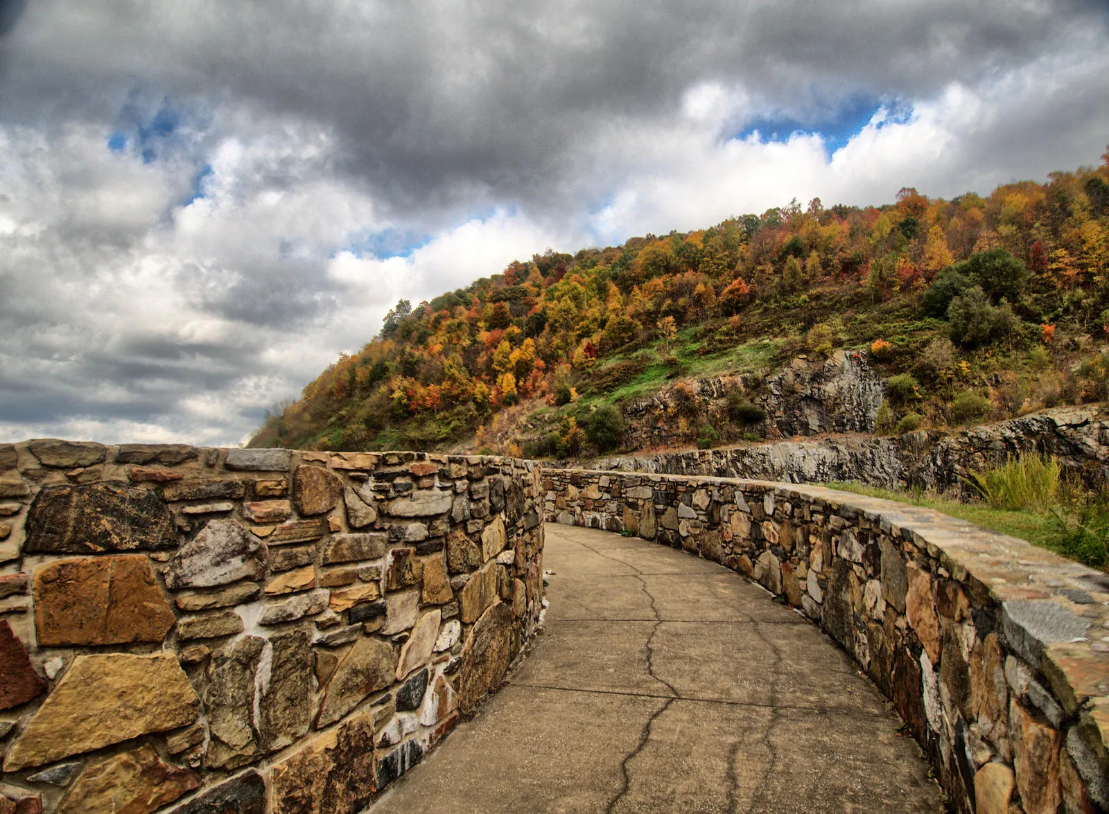 Cherish the Beauty of Scenic Drives