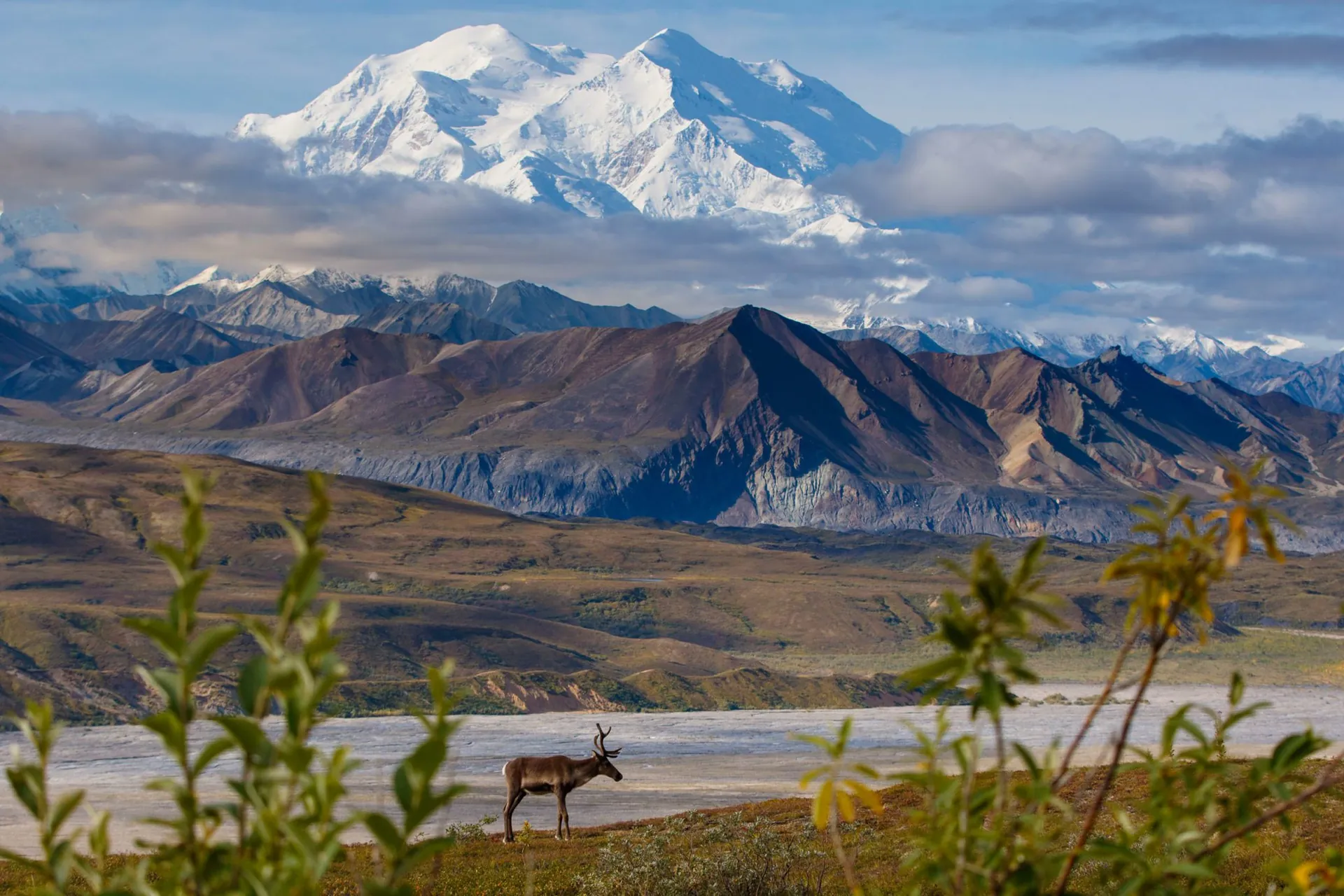 Day 3: Journey to Denali National Park