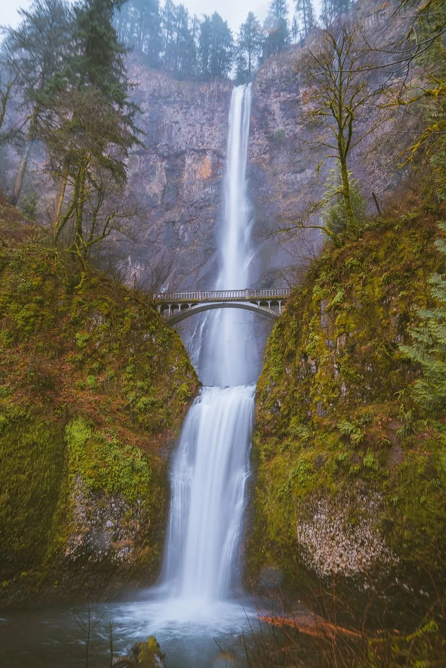 Day 6: The Columbia River Gorge Experience