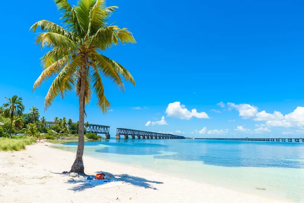 Discover Bahia Honda State Park