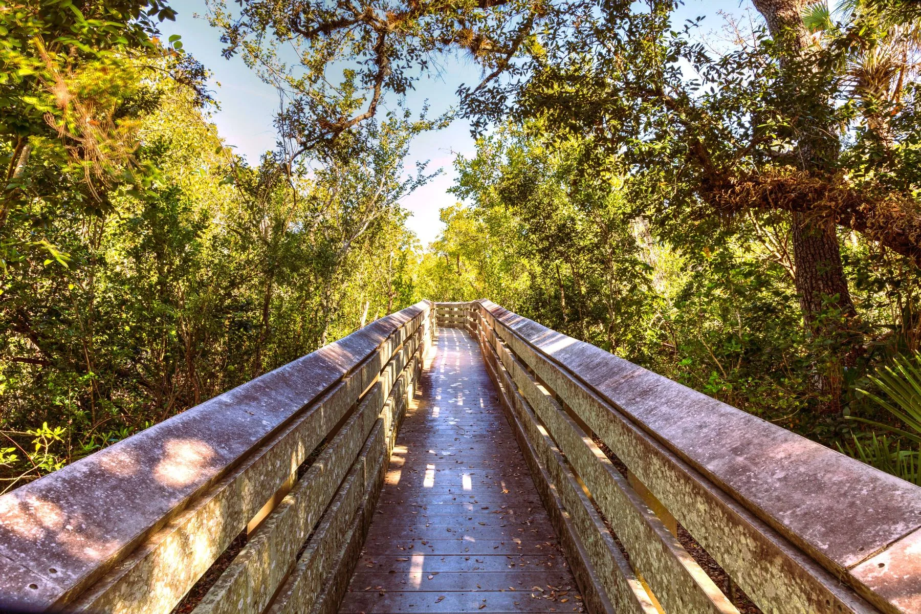 Discover Otter Mound Preserve