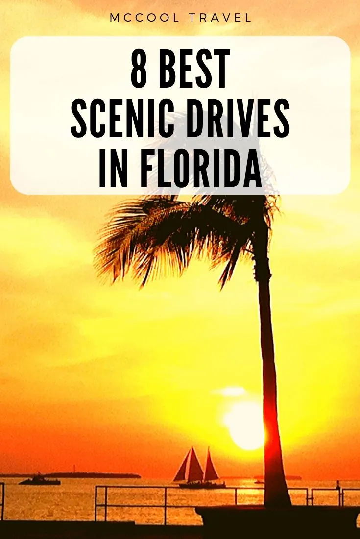 Discovering Florida’s Scenic Drives