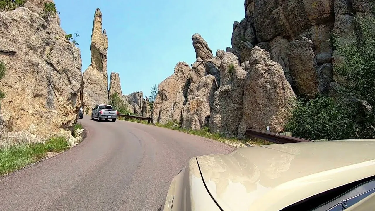 Drive the Scenic Needles Highway