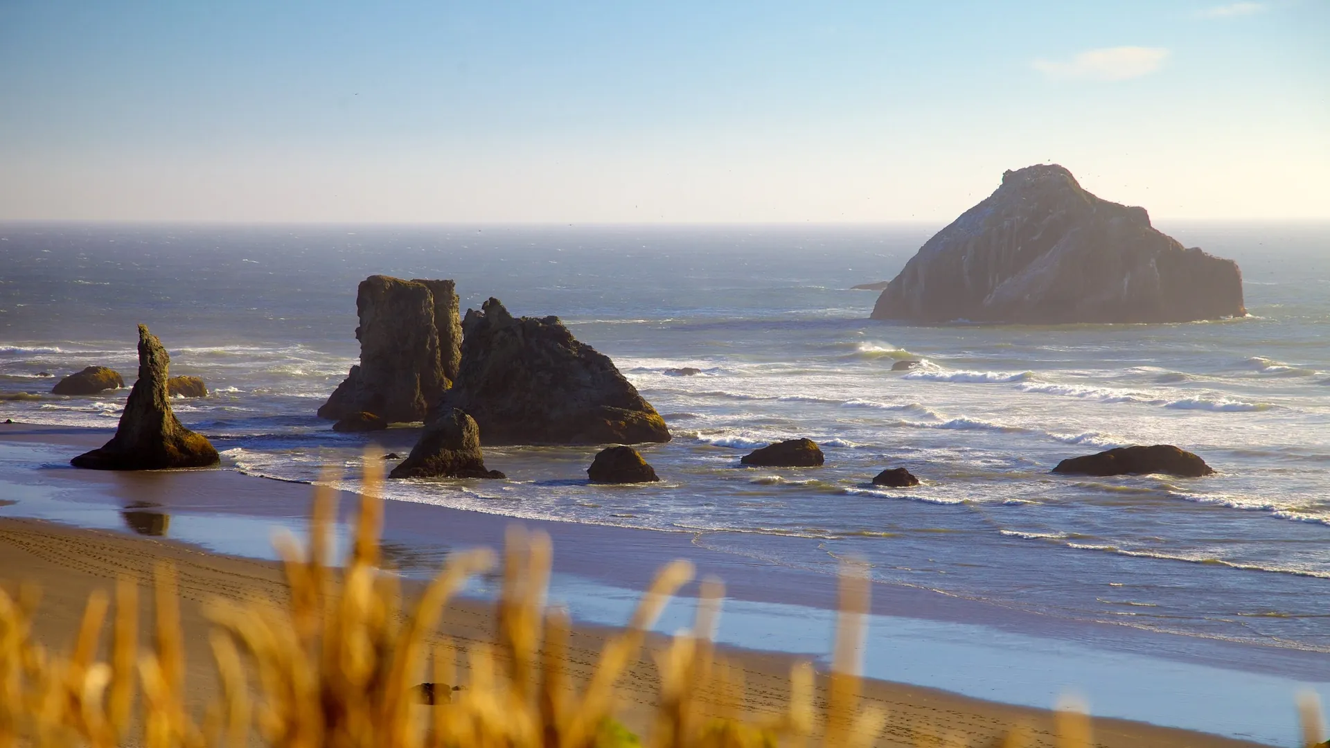 Embrace the Coastal Wonders of Bandon