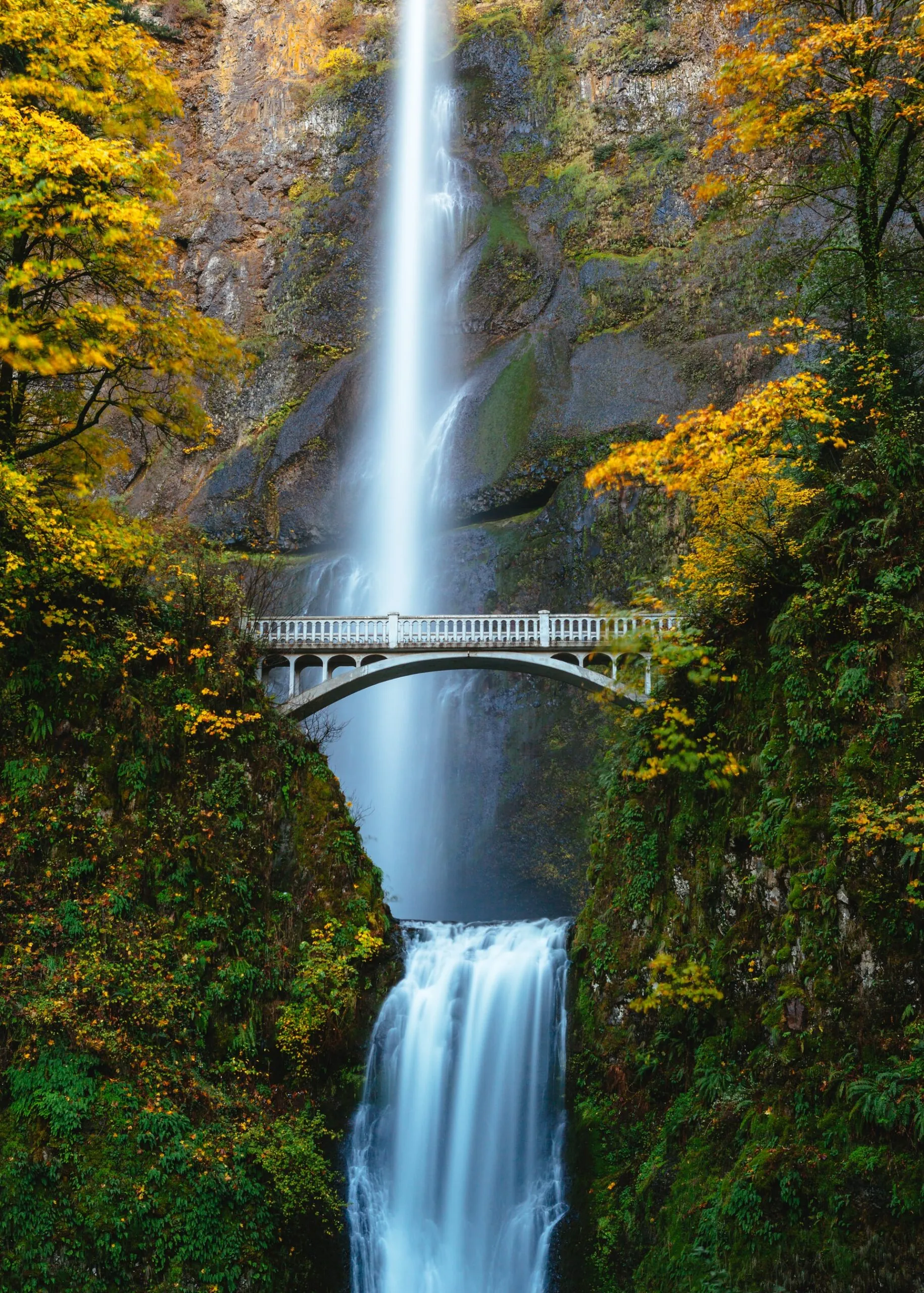 Embracing Oregon’s Scenic Waterfalls