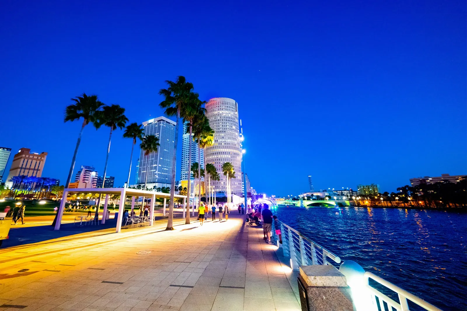 Enjoy Tampa’s Nightlife and Entertainment