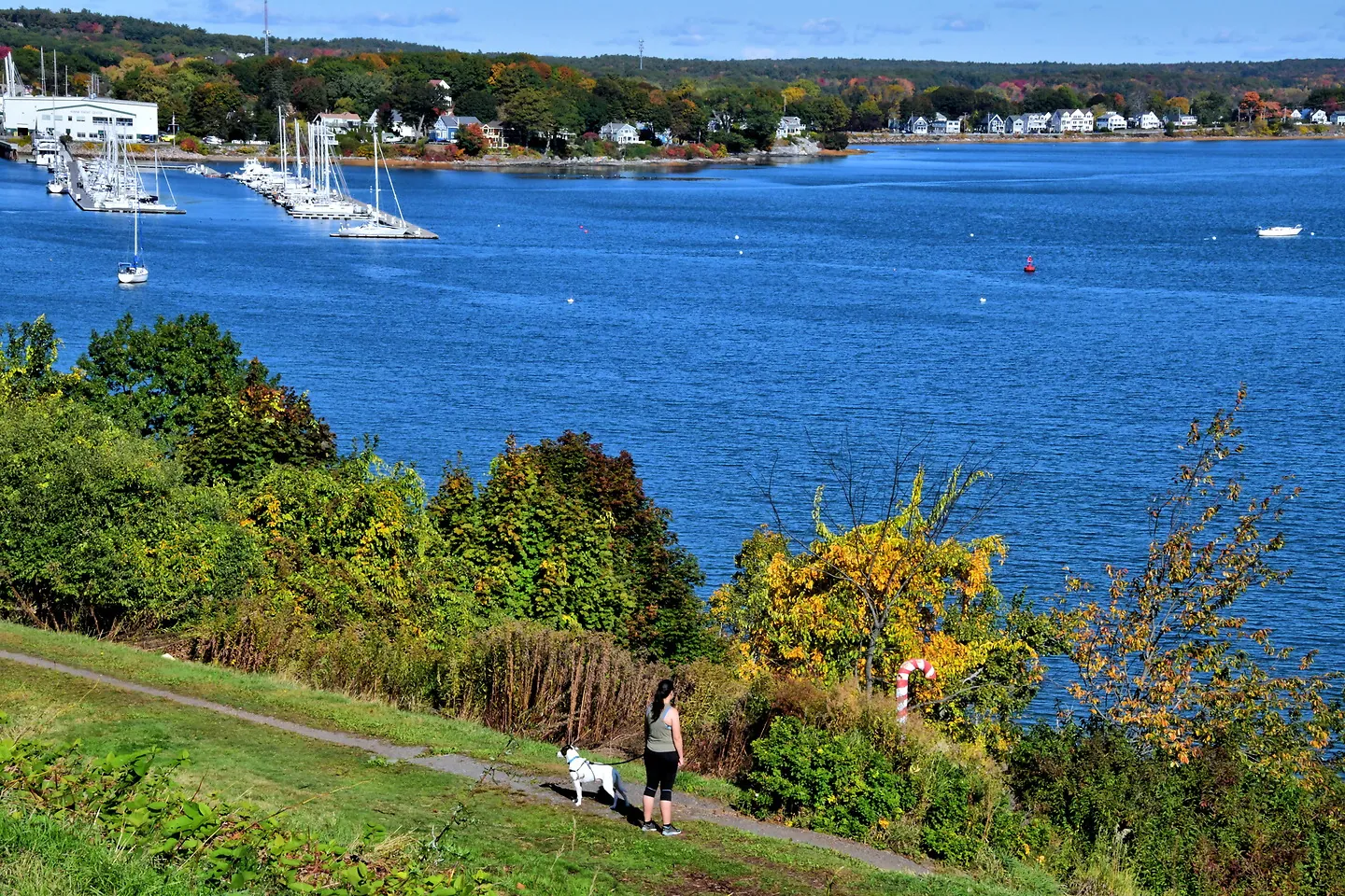 Enjoy the Scenic Eastern Promenade