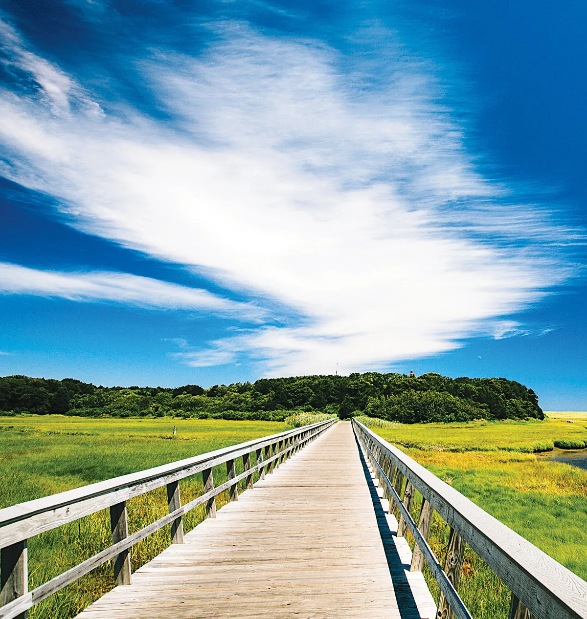 Enjoying Cape Cod Rail Trail