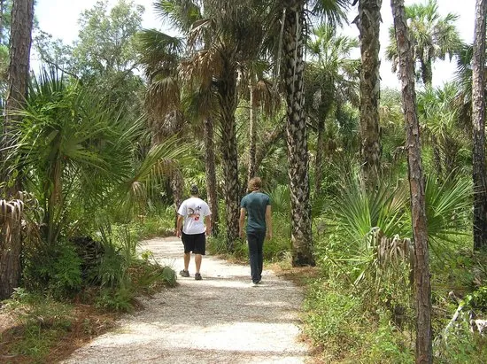 Experience Rookery Bay National Reserve